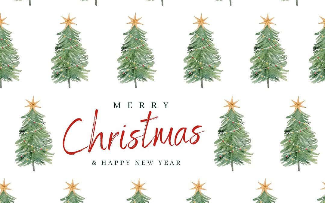 Merry Genealogy Christmas for 2025